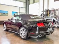 Ford Mustang - 4