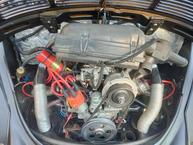 Volkswagen Beetle - 11
